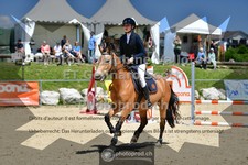 ref. photo 3606104