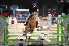 ref. photo 3606113