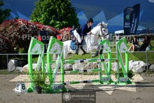 ref. photo 3606120