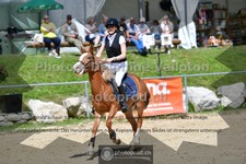 ref. photo 3606139