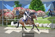 ref. photo 3606162