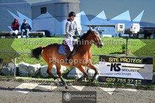 ref. photo 3606175
