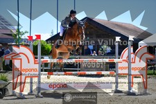 ref. photo 3606180