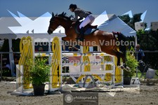 ref. photo 3606181