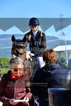 ref. photo 3606190