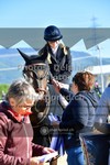ref. photo 3606191