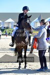 ref. photo 3606203