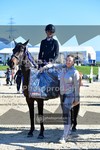 ref. photo 3606208