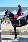 ref. photo 3606215