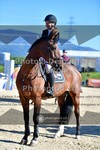 ref. photo 3606234
