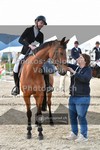 ref. photo 3606252