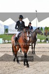 ref. photo 3606273