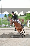 ref. photo 3606288