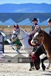 ref. photo 3606304