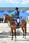 ref. photo 3606305