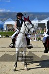 ref. photo 3606310