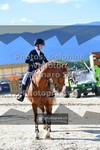 ref. photo 3606315