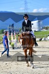 ref. photo 3606323