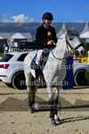 ref. photo 3606325