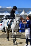 ref. photo 3606328