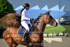 ref. photo 4071885