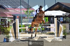 ref. photo 4073003