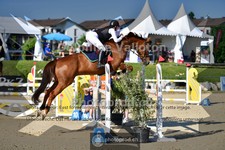 ref. photo 4073013
