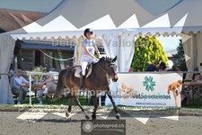 ref. photo 4073305