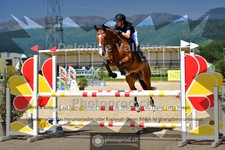 ref. photo 4073704