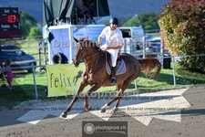 ref. photo 4073794