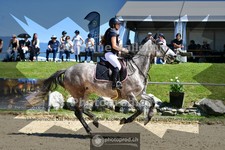 ref. photo 4075802