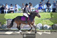 ref. photo 4075838