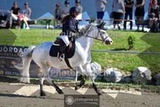 ref. photo 4076001