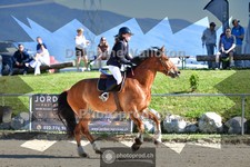 ref. photo 4076160