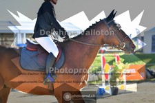 ref. photo 4076192