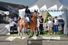 ref. photo 4076505