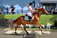 ref. photo 4076813