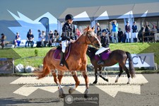 ref. photo 4077041