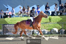 ref. photo 4077044