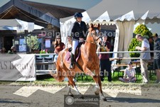 ref. photo 4077045