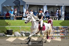 ref. photo 4077106