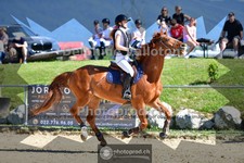 ref. photo 4077444