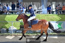 ref. photo 4078035