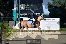 ref. photo 4078411
