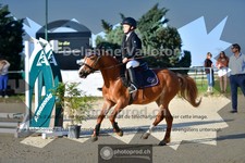 ref. photo 4078642