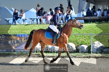 ref. photo 4078663