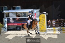 ref. photo 4079026