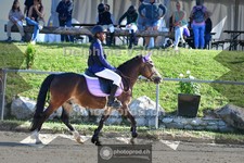 ref. photo 4079079