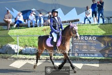 ref. photo 4079089