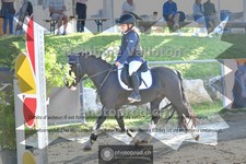 ref. photo 4079117